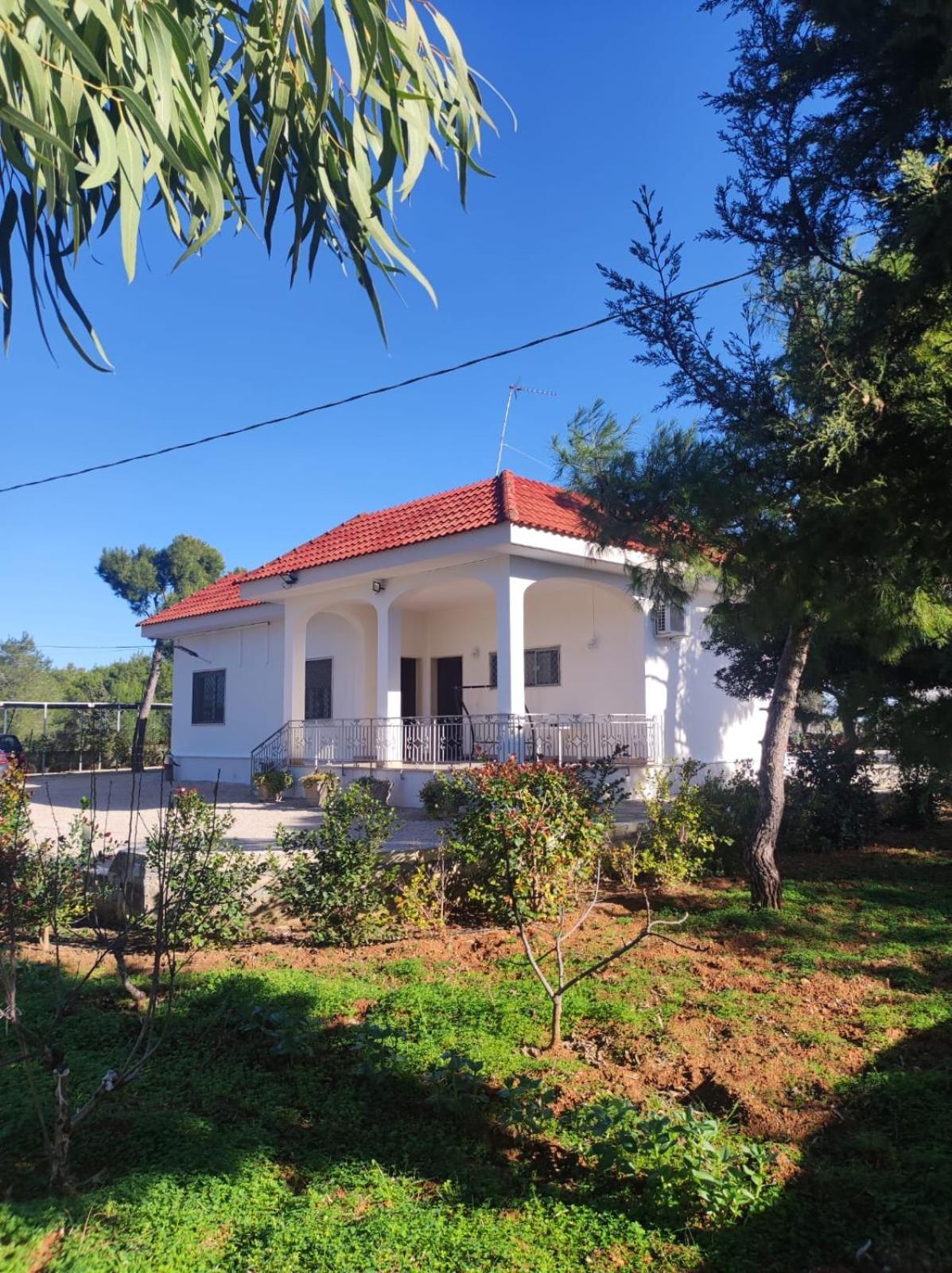 B&B Villa Vittorio Galatone Exteriör bild