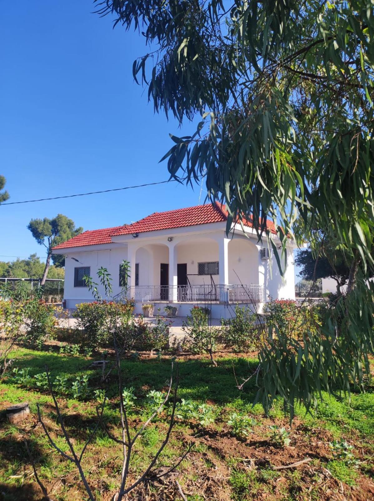 B&B Villa Vittorio Galatone Exteriör bild